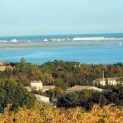 Locations De Vacances