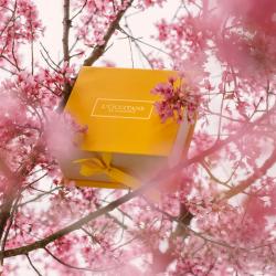 L'occitane En Provence