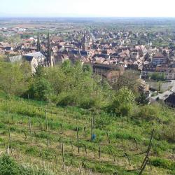 Loft "solarium Du Clos Sainte Odile"