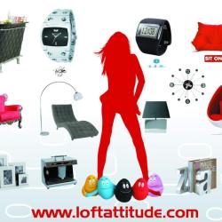 Loft Attitude