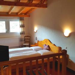 Logis Hôtel La Petite Auberge