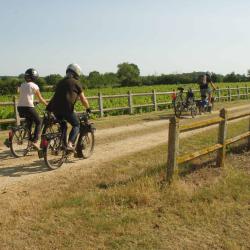 Loire Secrets