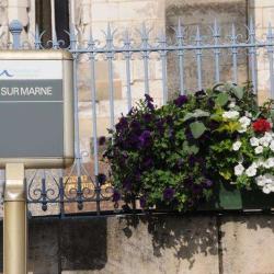 Loisy Sur Marne