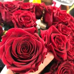 Lola Fleurs