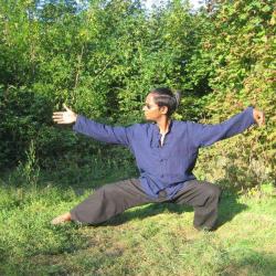 Taichi Kungfu Qigong