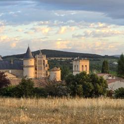 L'olivier De La Roque