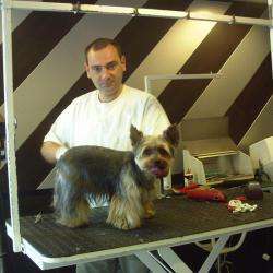 Look Canin
