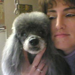 Look Canin