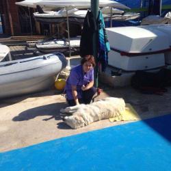 Lorenzi/ Massotherapeute Canin