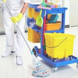 Societe Nettoyage Service