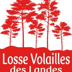 Losse Volailles Des Landes