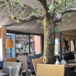 Lôtre Restaurant