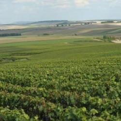 Champagne Louis Brochet Herieux