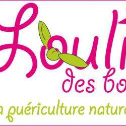 Louli Des Bois