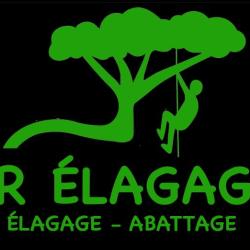 Lr élagage, Expert En Végétaux Du 91