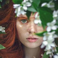 Lulu Nature