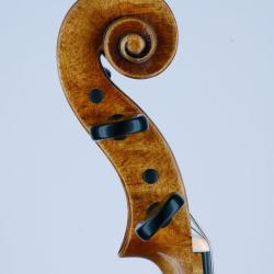 Lutherie Sur Seine