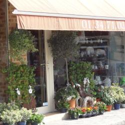 Luzarches Fleurs Marliot