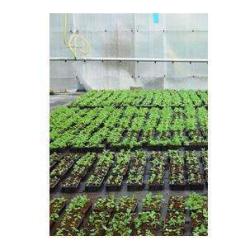 Lycee Agricole Et Horticole De L'aulne