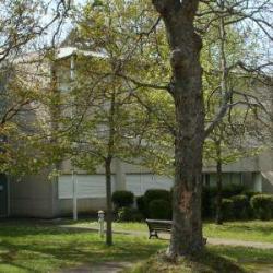 Lycée Biarritz Atlantique