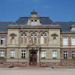 Lycee