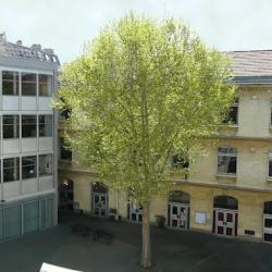 Lycée Paul Poiret - Diplôme Dnmade Spectacle