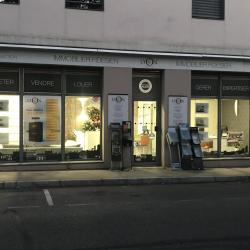 Lyon Agence Immobilier Fidesien