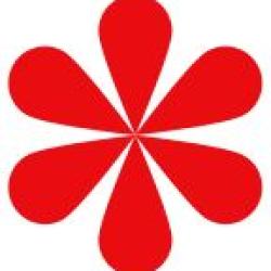 Lyon Marketing Co. | Agence De Marketing