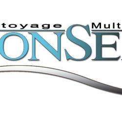 Lyonseau Nettoyage