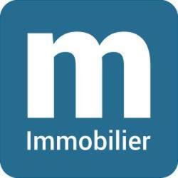 M Immobilier