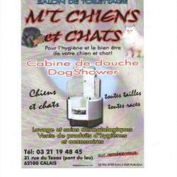 M't Chiens Et Chats