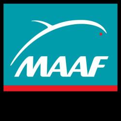 Maaf Assurances Lille Centre Ville