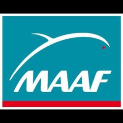 Maaf