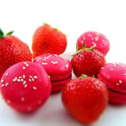 Macarons De Folie By Anne Nicolet