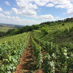 Machard De Gramont Bertrand