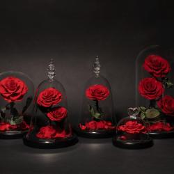 Madame Veut Des Roses - Livraison De Roses éternelles