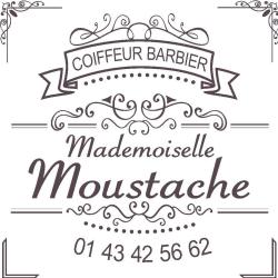 Mademoiselle Moustache