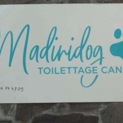 Madinidog