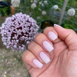 Maë'sthetic