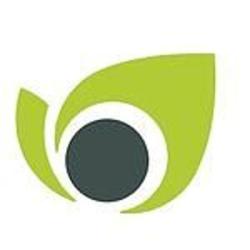 Magasin Vert