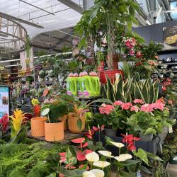 Magasin Vert Betton