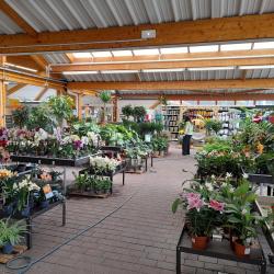 Magasin Vert Vannes