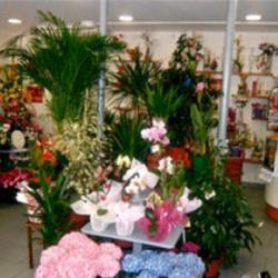 Maggy Fleurs