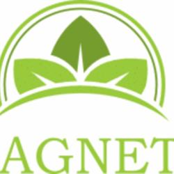 Magnéto