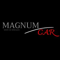 Magnum Car Vienne