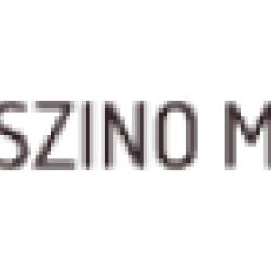 Magyarkaszinooldalak.com