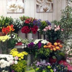 Maifleurs