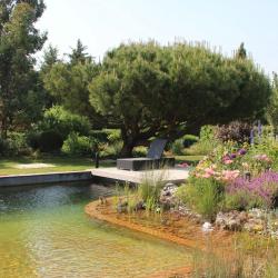Maillard Paysage