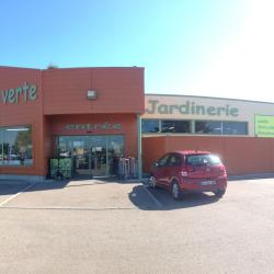 Main Verte
