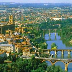 Albi